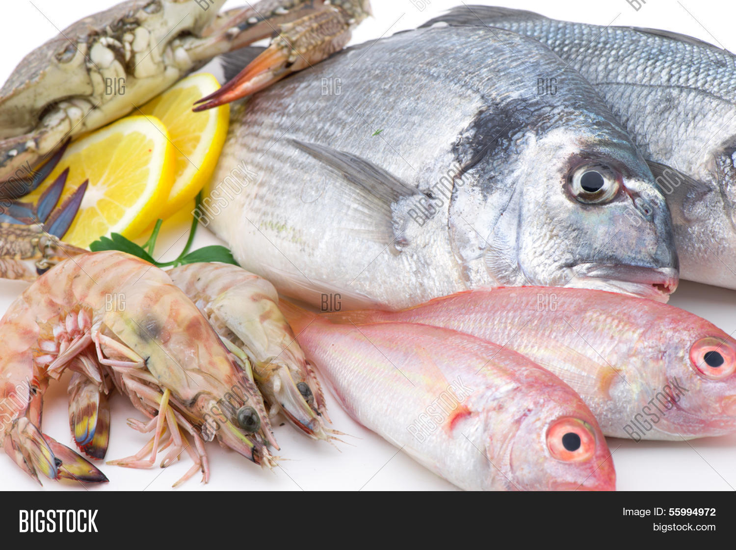 Fresh Catch Seafood Image & Photo (Free Trial) Bigstock