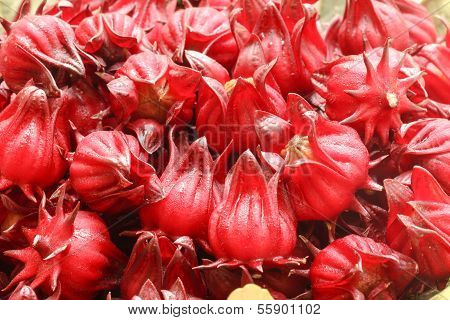 Roselle Fruits