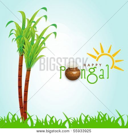 Happy Pongal, harvest festival celebration in South India with sugarcane and stylish text on nature background. 