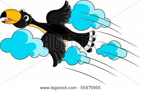 Flying Toucan Cartoon