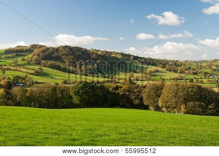 Large Pastureland In Wales