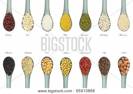 Grain Collection