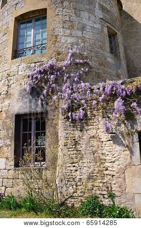 Old house in village