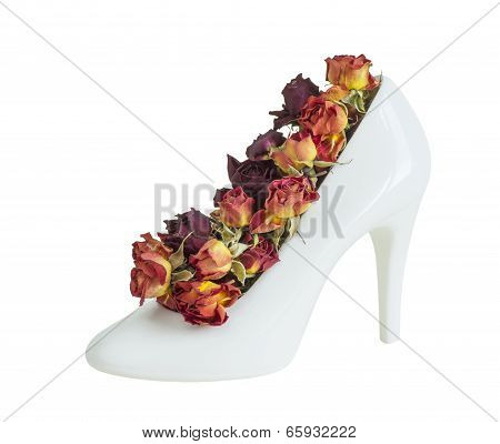 Women's Shoes And Roses