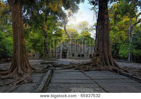 Sunrise over Ta Phrom
