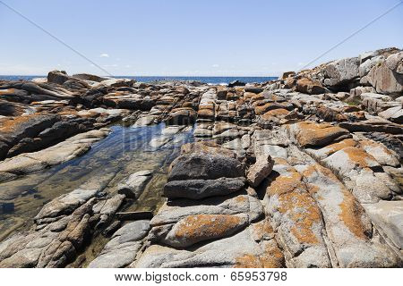 Rock Pool Near Bingi Bingi Pount. Bingie (near Morua) . Nsw. Australia