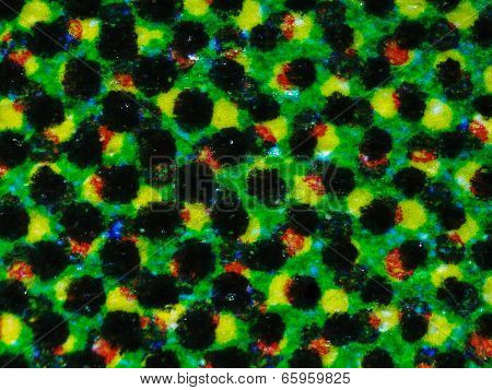 Halftone Micrograph