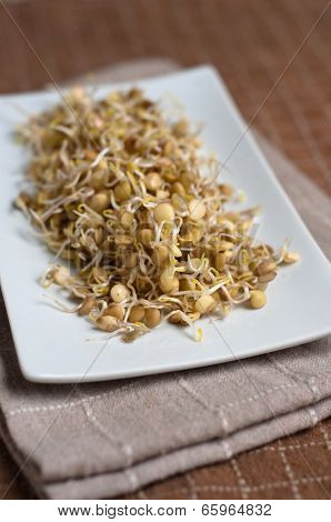 Lentil Sprouds