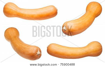 Set Of Butternut Pumpkins Isolated