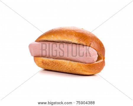 Hot dog closeup