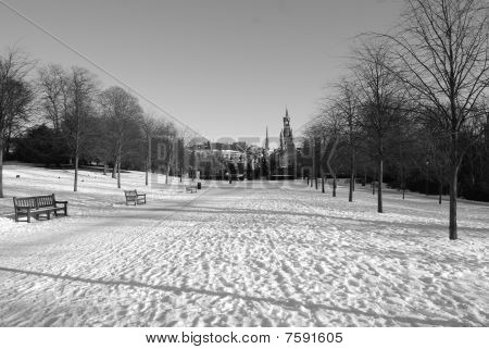 Parco In inverno