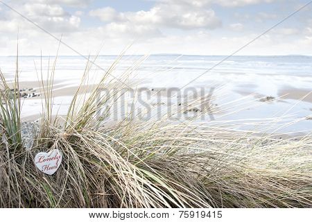 Lonely Wooden Heart On Beach Dunes