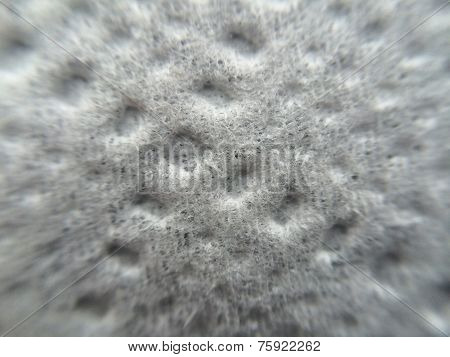 Toilet paper macro