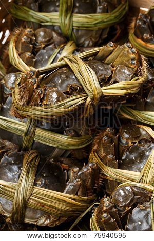 Hairy crabs