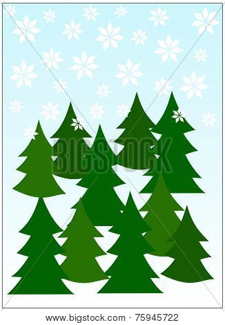Winter forest
