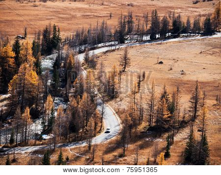 Mountain road next to an alpine torrent in fall - Val Ferret, Courmayer, Val d'Aosta, Italy, Europe.