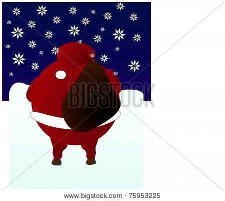 Santa Claus at night