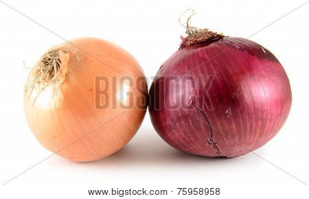 Red and Yellow Onion