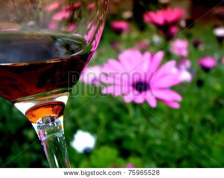 Sipping Glass of Cabernet Red Wine Garden Flower Theme in Spring Time
