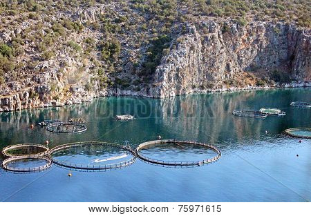 Aquaculture In Greece