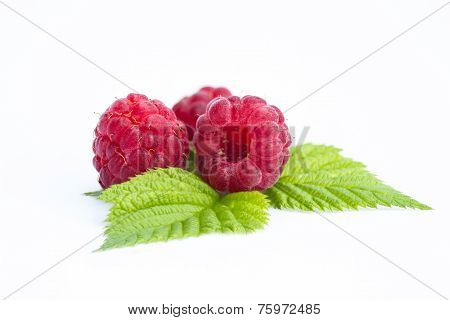Ripe raspberry