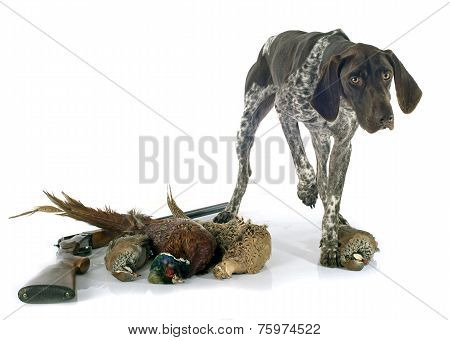 Hunting Games And Dog