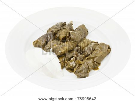 Dolma From Vine Leaves And Mince On Plate