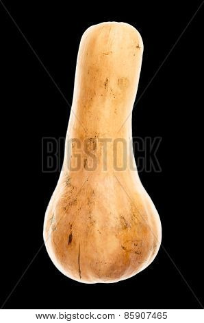 Food Silhouette Of Pumpkin On Isolated Black Background