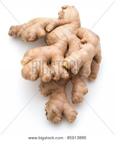 Fresh ginger root or rhizome isolated on white background cutout
