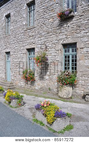 Flower Display