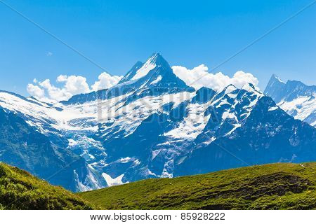 Panorama View Of Schreckhorn, Fiescherwand