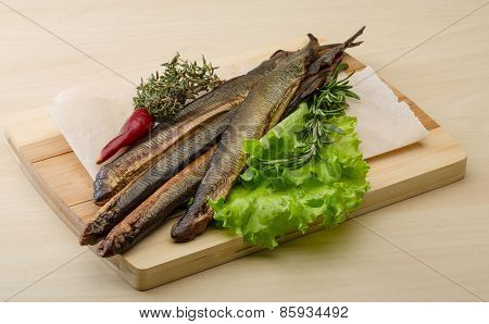 Lamprey