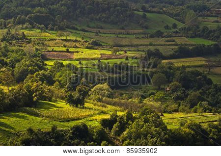 Landscape of Jelasnica gorge plateau at sunny autumn afternoon
