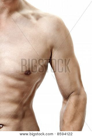 Sexuální Mans trupu