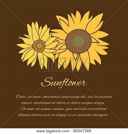 Sunflower vector greeting card on the dark background