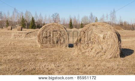 Hay stacks in farmland
