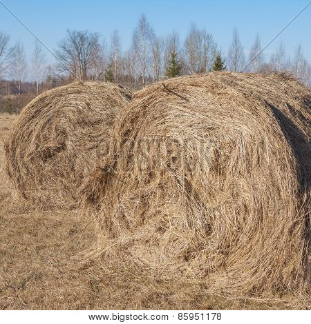 Hay stacks in farmland