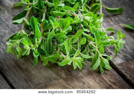 Bunch Of Raw Green Herb Marjoram On A Wooden Table