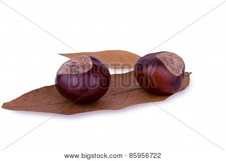 Chestnuts On Leaves