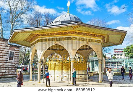 The Fountain