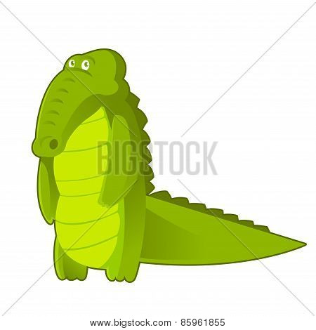 Crocodile