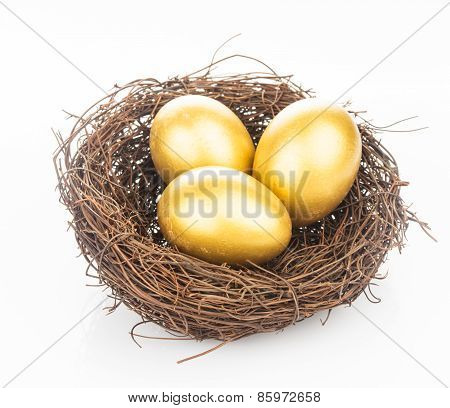 golden eggs in nest