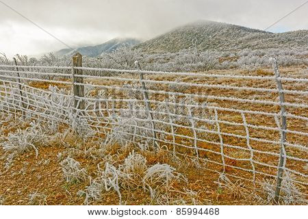 Texas Desert In A Winter Ice Storm
