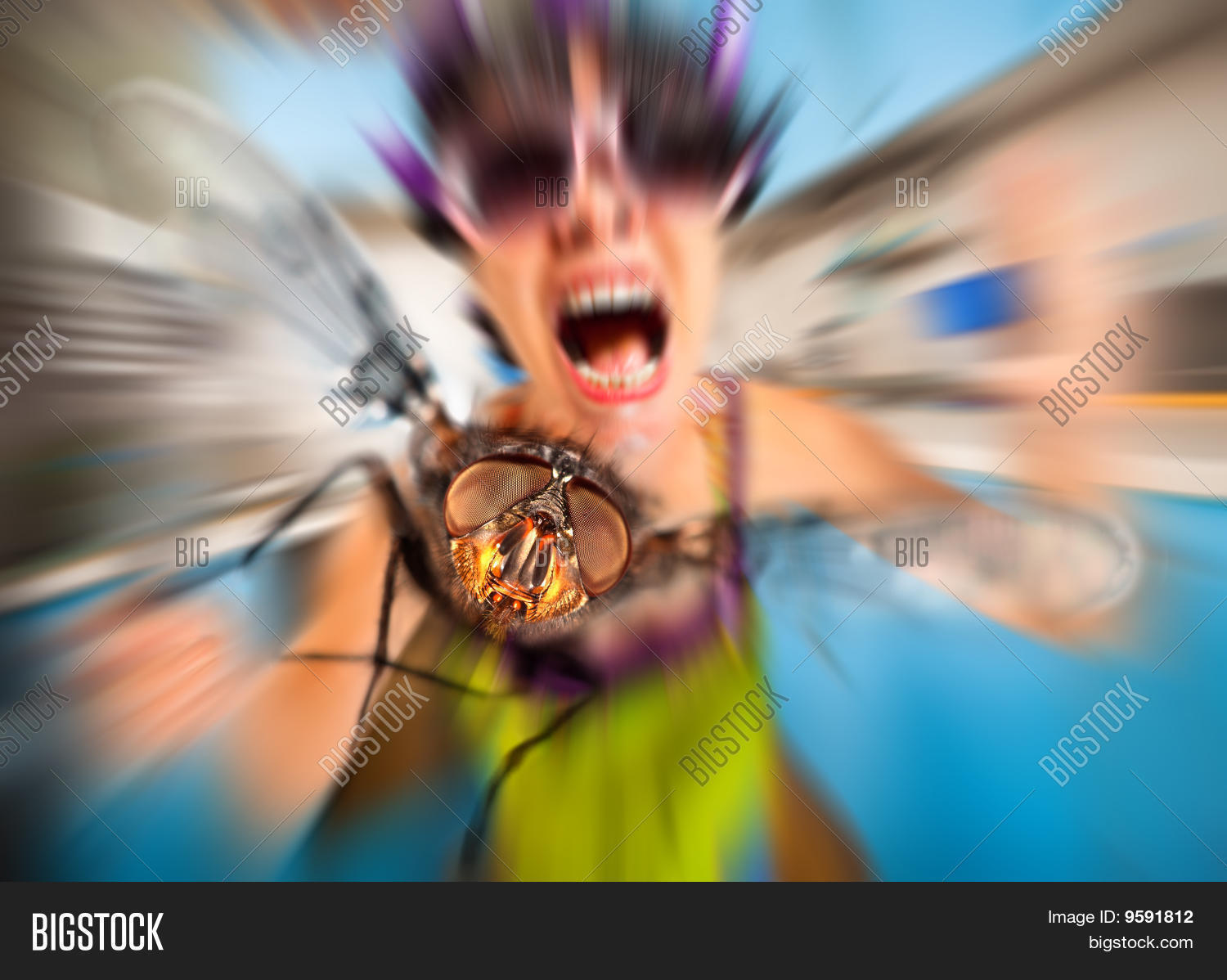 Image Preview