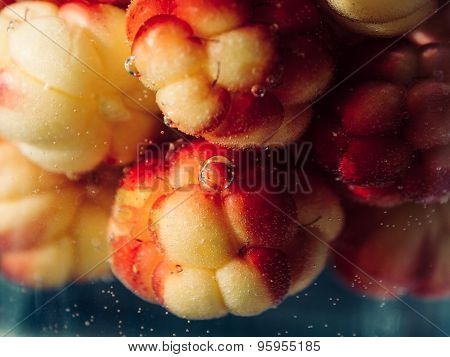 cloudberry