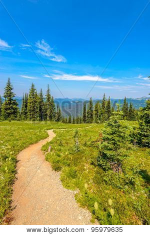 Beautiful Mountain Trail. Blackwall Peak Trail at Manning Park in British Columbia. Canada.