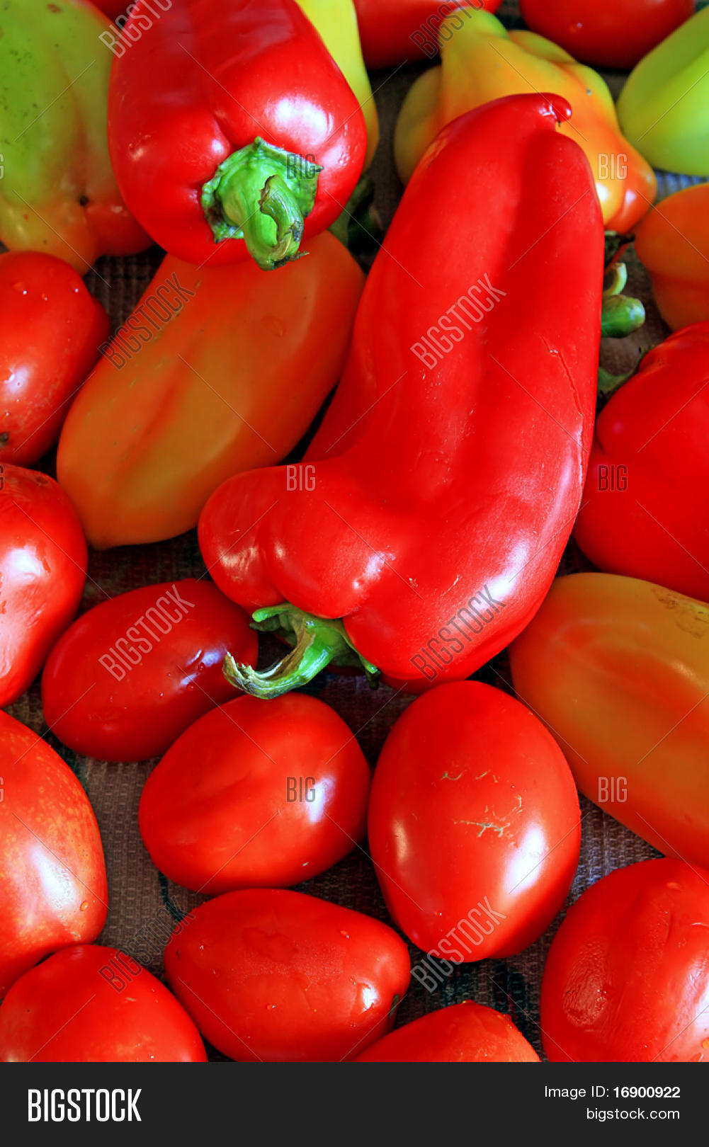 Tomatoes Pepper Image & Photo (Free Trial) Bigstock