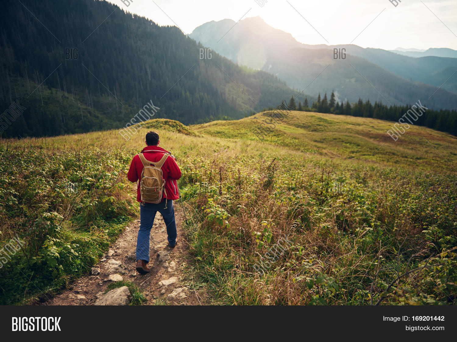Ходите по тропинкам. 1 по тропинке шел человек. Человек идет в гору. Путешественник идет по дороге. Парень в лесу.