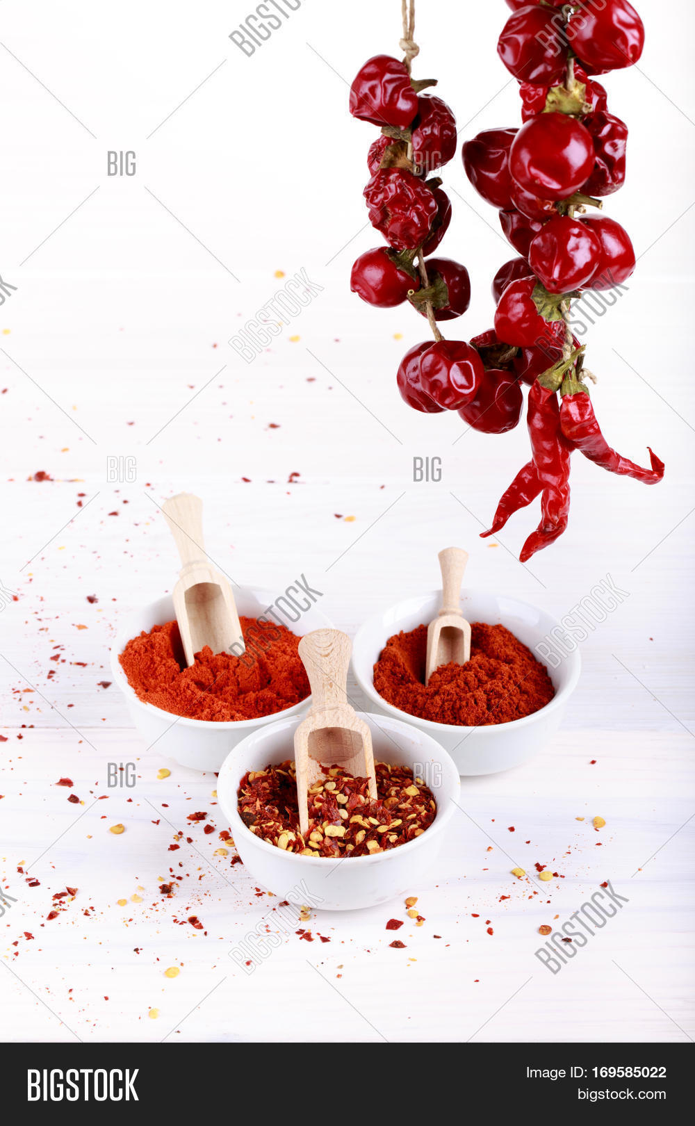 Different Types Image & Photo (Free Trial) Bigstock