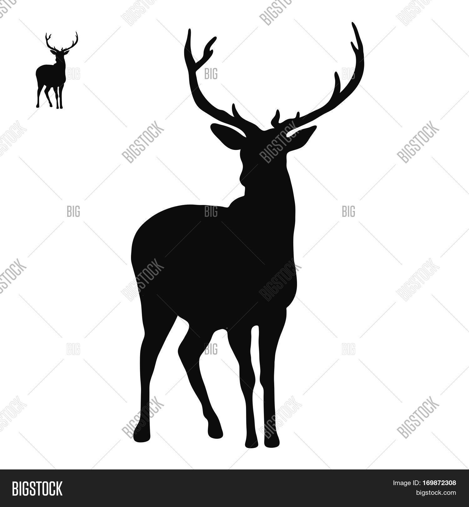 deer logo icon hand vector photo free trial bigstock sketches of deer